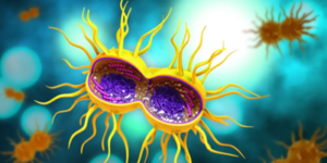 الوقاية وعلاج الأمراض المنقولة جنسياً