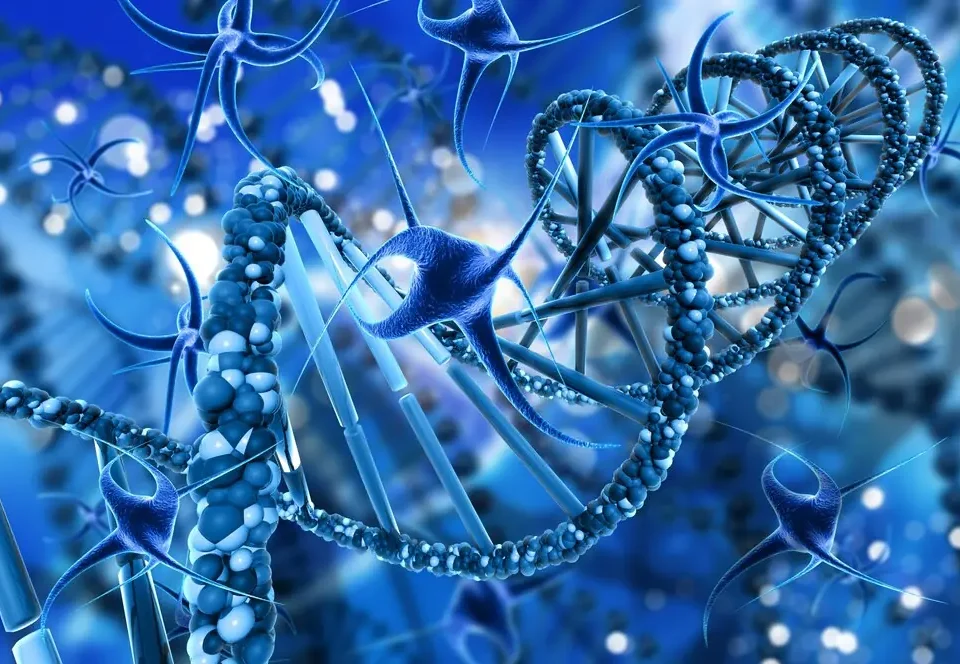 فوائد الطب التجديدي في إيران